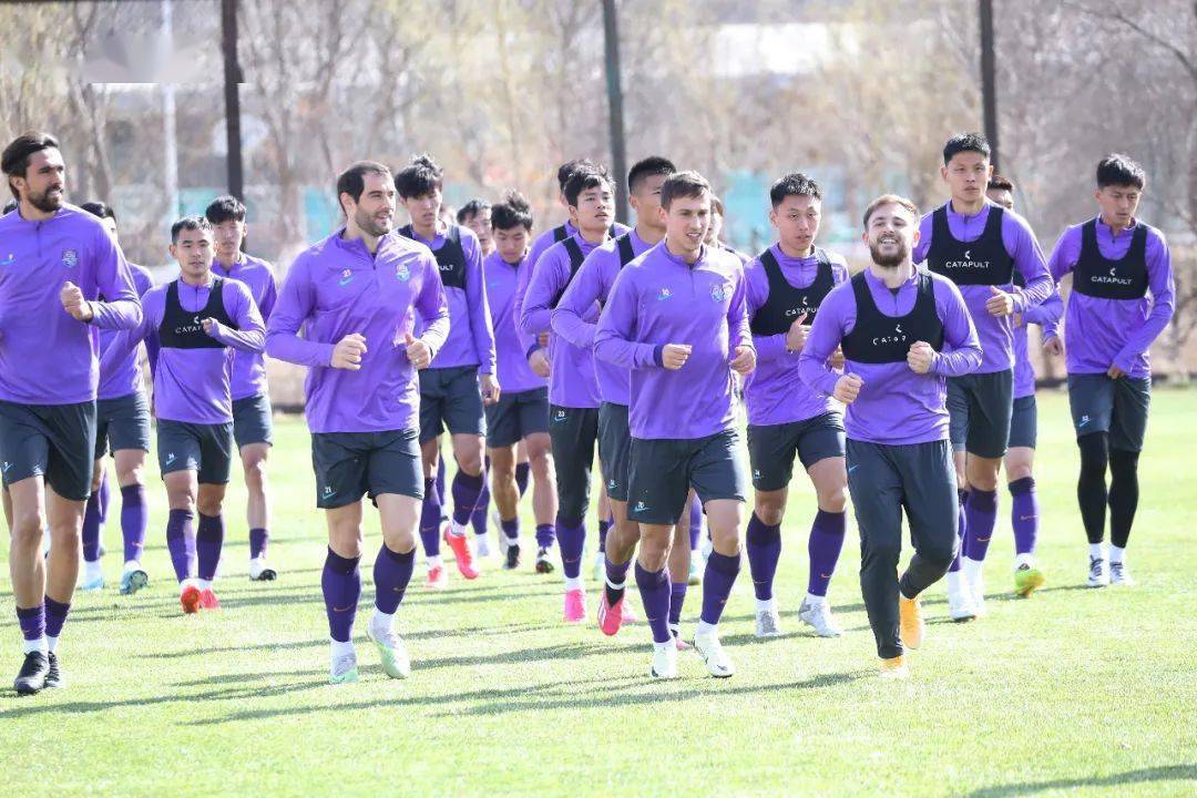 华体会注册-塔斯马尼亚联全力冲击冠军，关键球员备战状态受关注的简单介绍