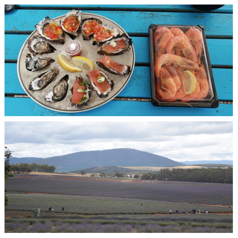 华体会在线-塔斯马尼亚联赛前发布会：全队信心满满迎战卡尔蒂斯