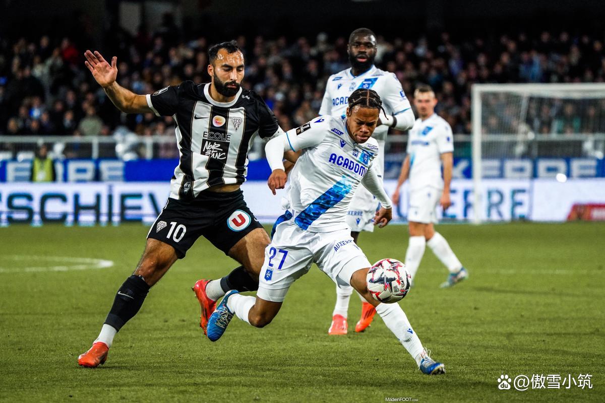 圣埃蒂安全力以赴冲刺夺冠，法甲争榜上添花的简单介绍